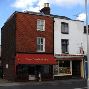 Commercial Surveys