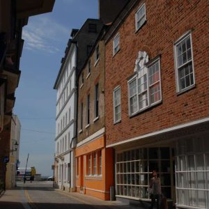Commercial Surveys